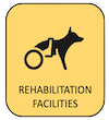 Icon of a disabled dog
